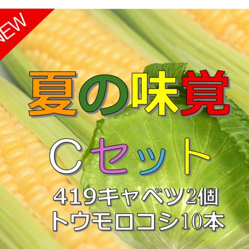 夏の味覚野菜セットC