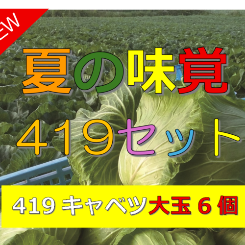 hmikaku419set6